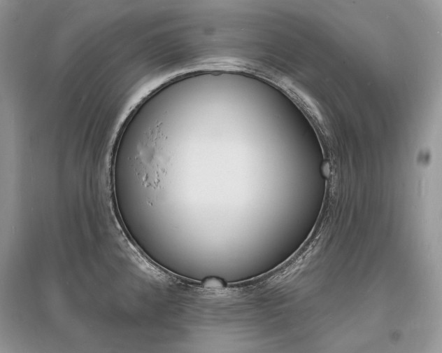 X0000096391192200801241109