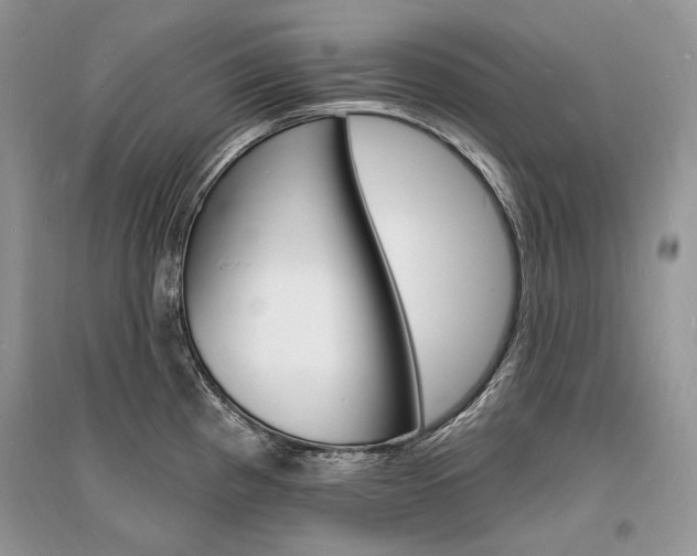 X0000096391193200801241109