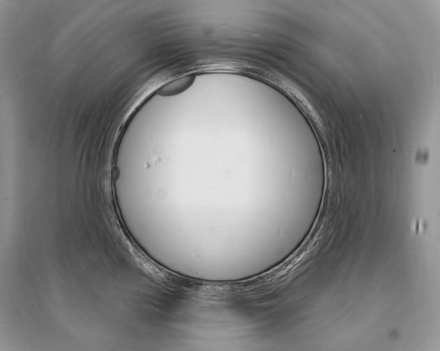 X0000096391194200801241109