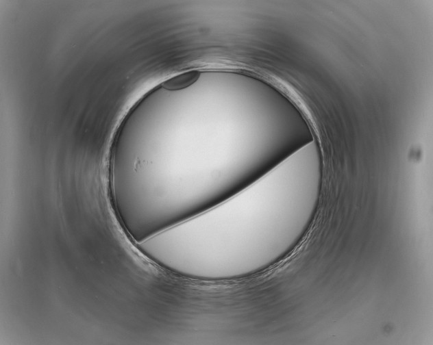 X0000096391195200801241109