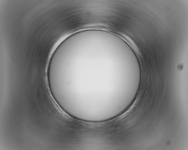 X0000096391196200801241109