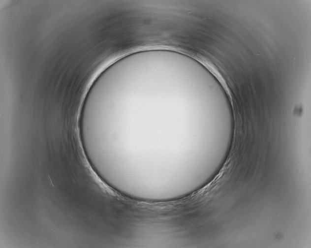 X0000096391197200801241109