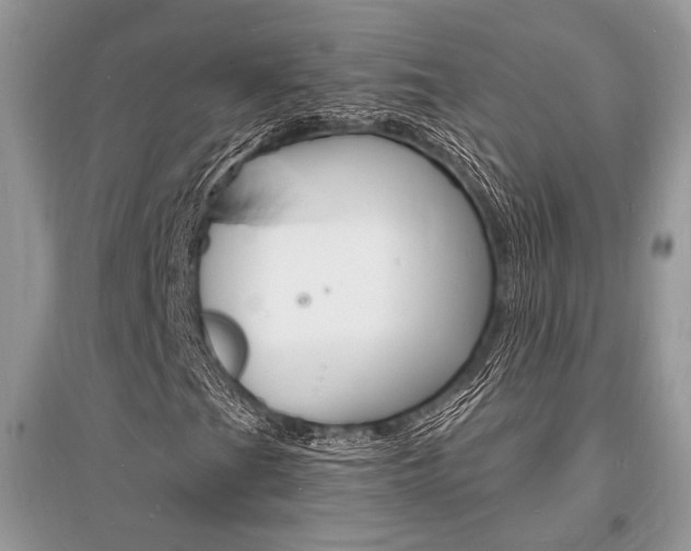 X0000096391201200801241108