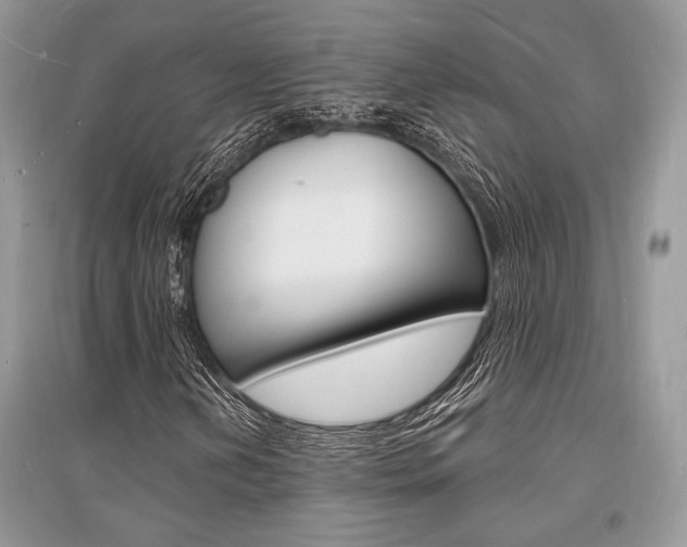 X0000096391202200801241108