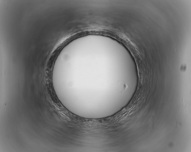 X0000096391208200801241108