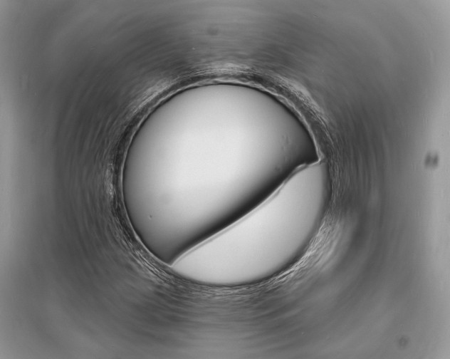 X0000096391209200801241108