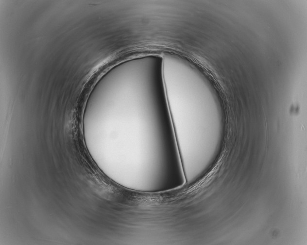 X0000096391210200801241108