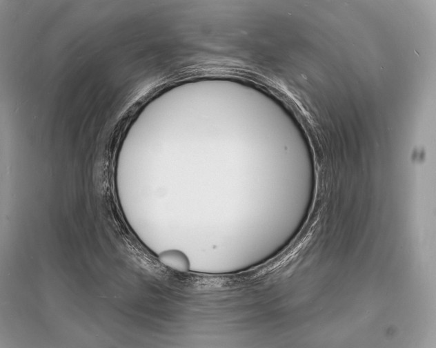 X0000096391211200801241109