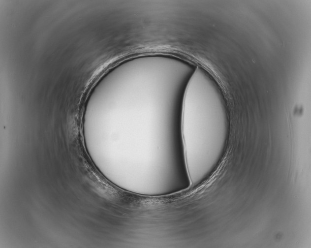 X0000096391212200801241109