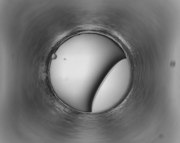 X0000096391213200801241109