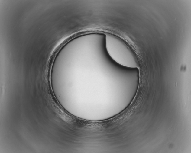 X0000096391216200801241109
