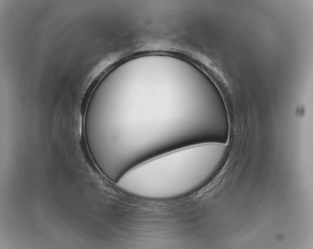 X0000096391221200801241109
