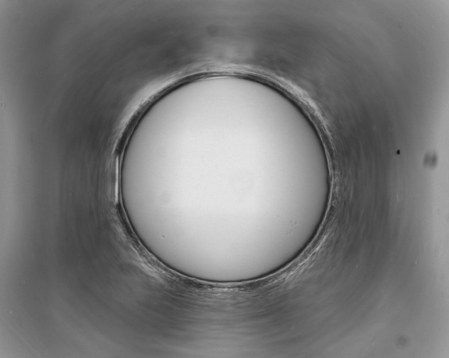 X0000096391223200801241109
