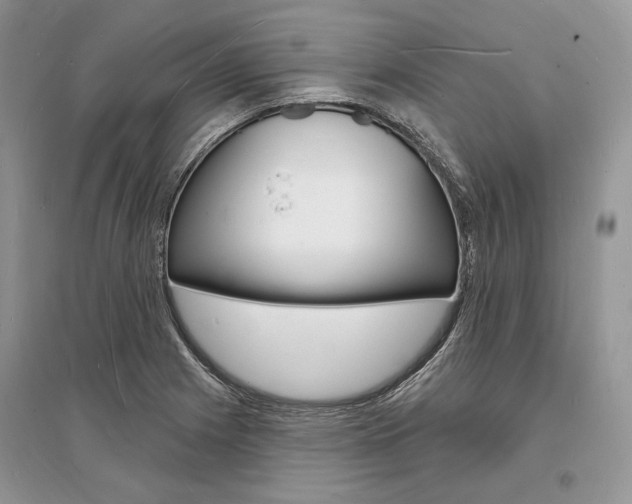 X0000096391225200801241109