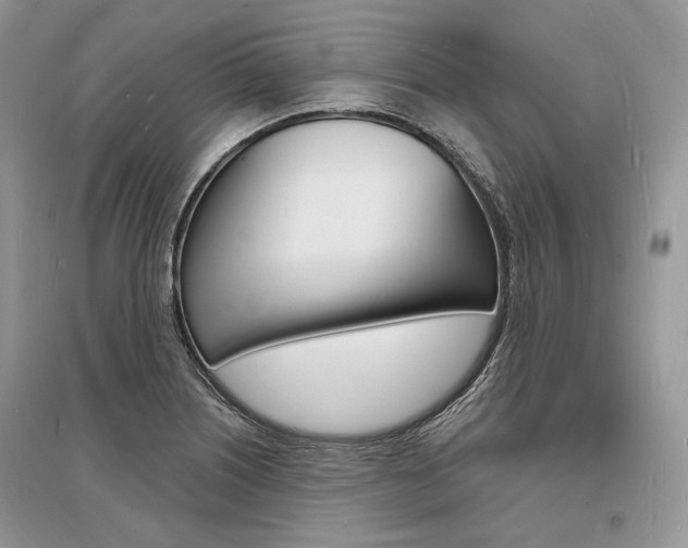 X0000096391226200801241109