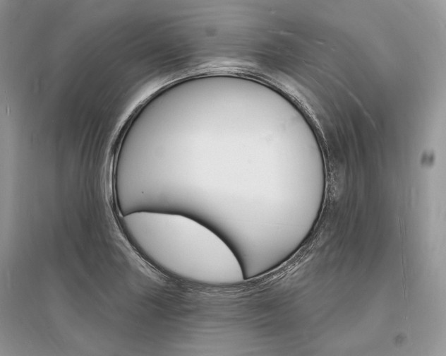 X0000096391227200801241109