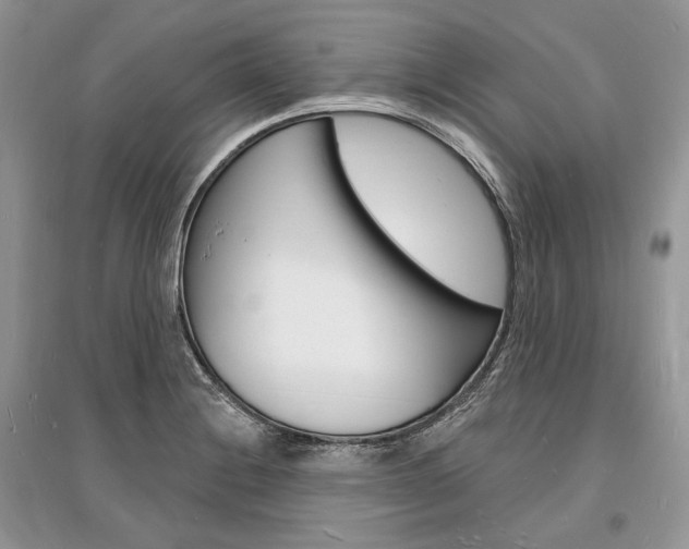 X0000096391228200801241109