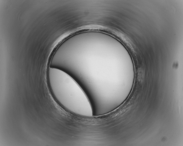 X0000096391229200801241109