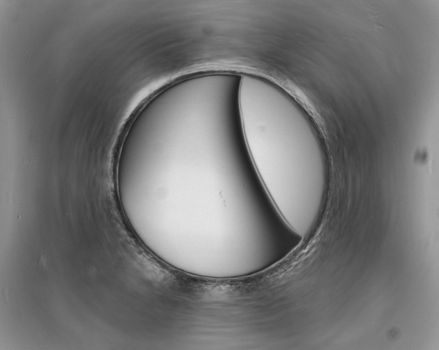 X0000096391230200801241109
