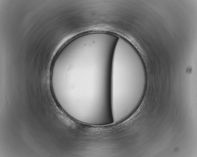 X0000096391232200801241109