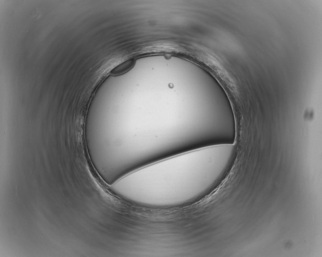 X0000096391233200801241109