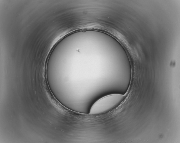 X0000096391234200801241109
