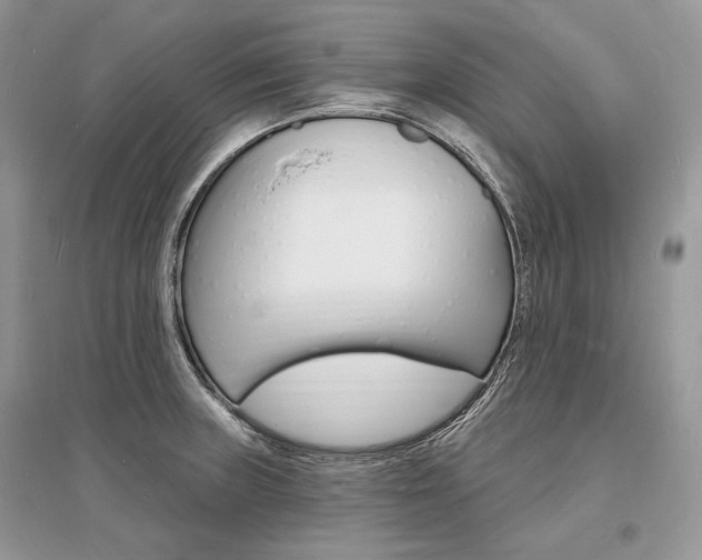 X0000096391235200801241109