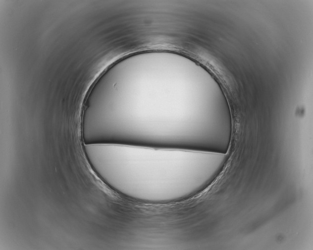 X0000096391236200801241109