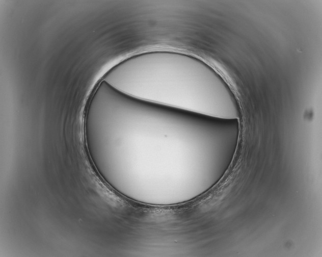 X0000096391238200801241109