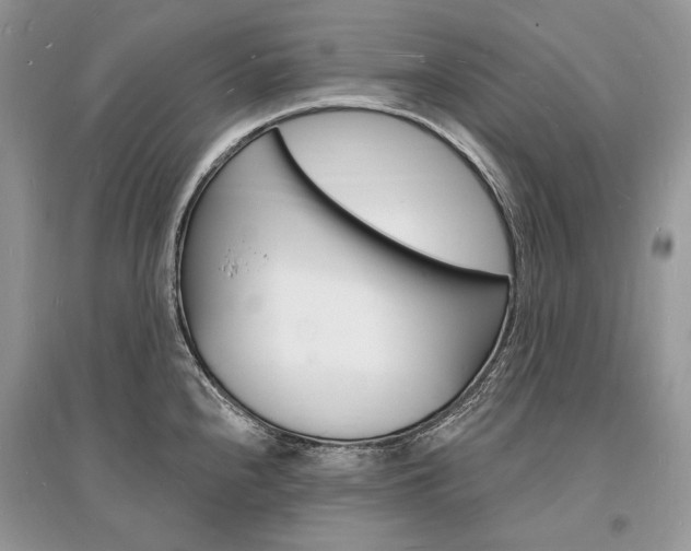 X0000096391240200801241109