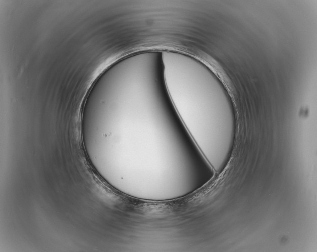 X0000096391242200801241109