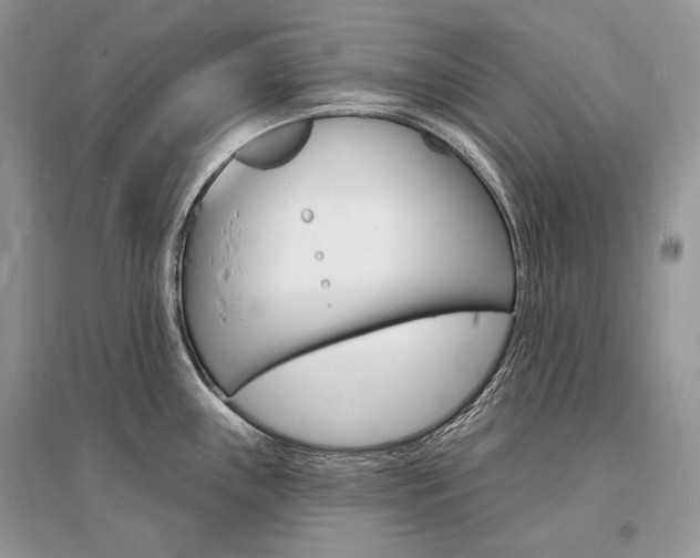 X0000096391243200801241109