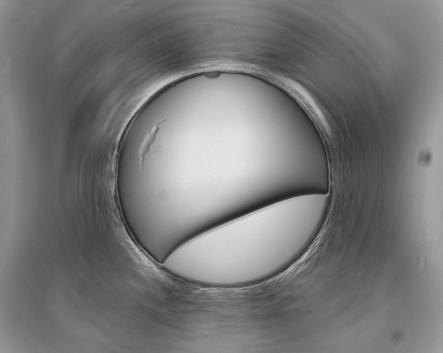 X0000096391244200801241109