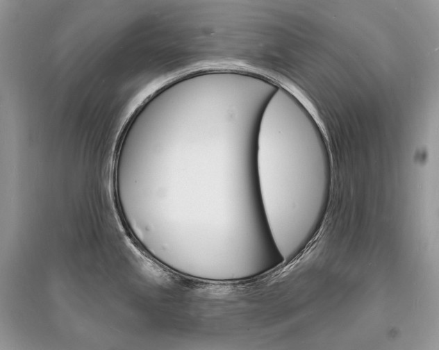 X0000096391245200801241109