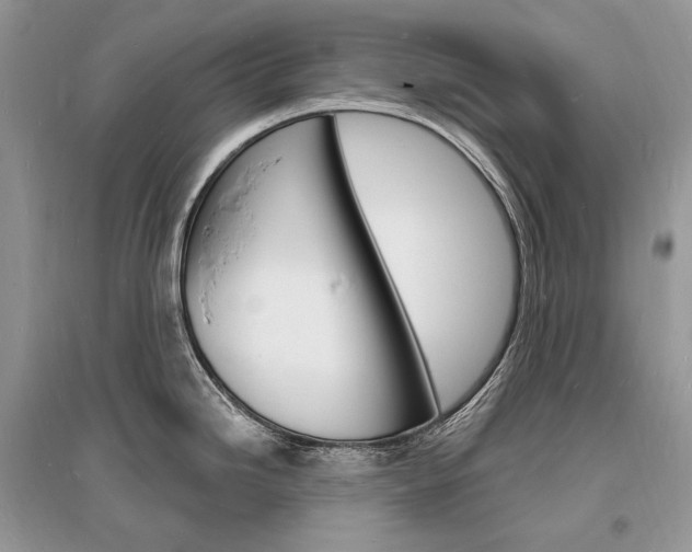 X0000096391246200801241109