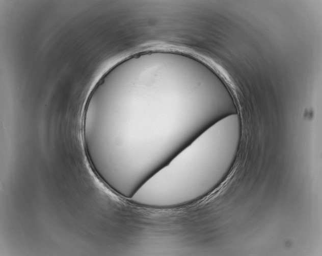 X0000096391247200801241109