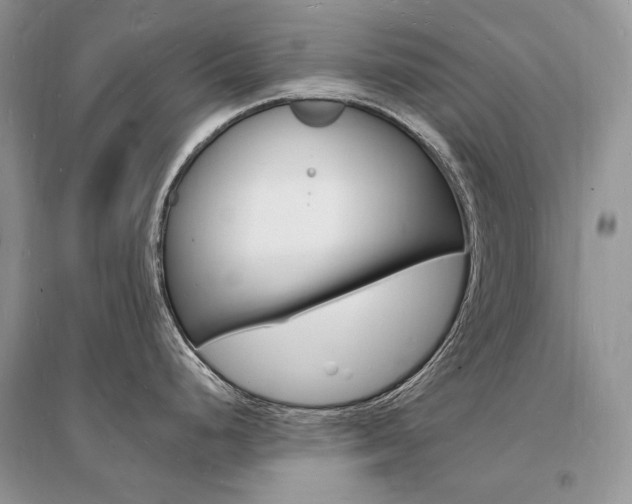 X0000096391248200801241109