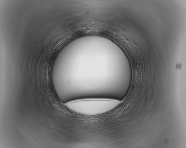 X0000096391250200801241108