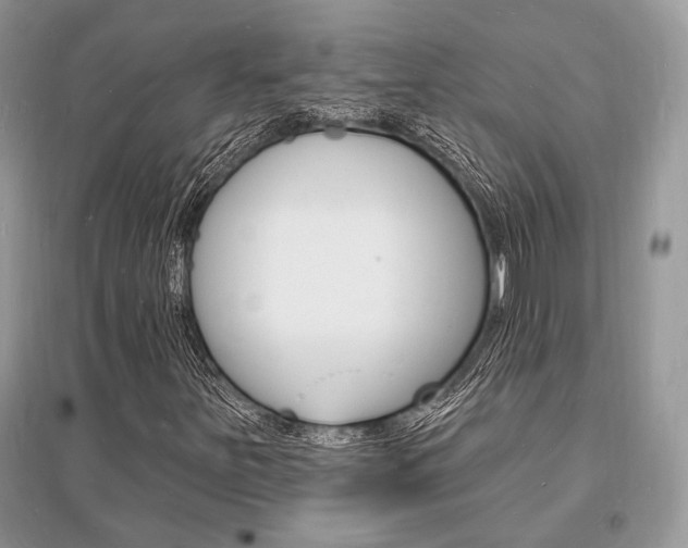 X0000096391251200801241108