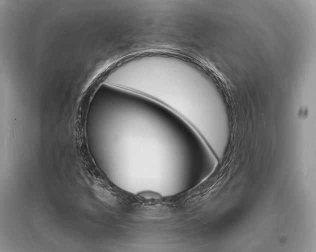 X0000096391256200801241108
