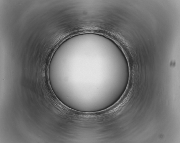 X0000096391257200801241108