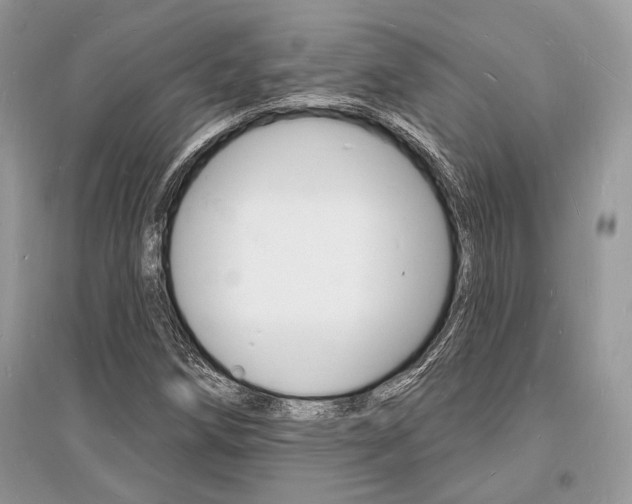 X0000096391258200801241108