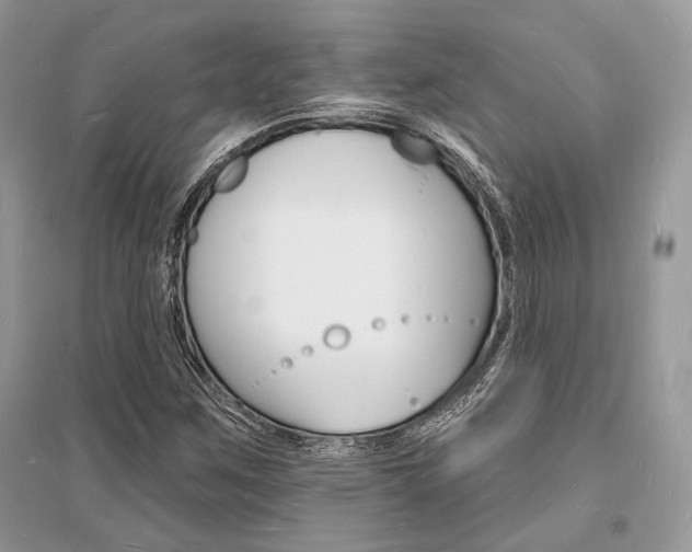 X0000096391259200801241108