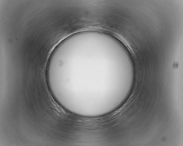 X0000096391260200801241108