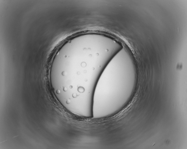 X0000096391263200801241108