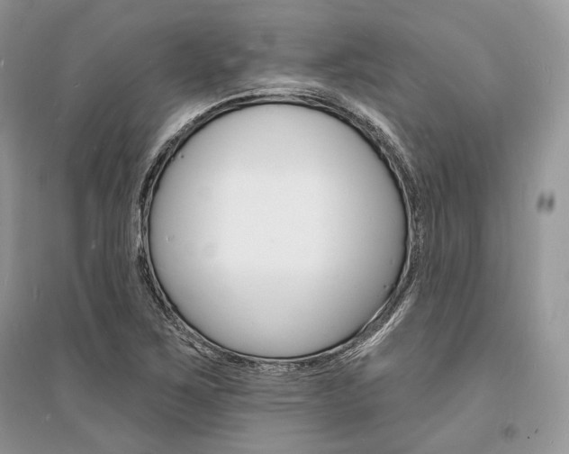 X0000096391267200801241108