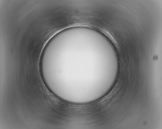 X0000096391268200801241108