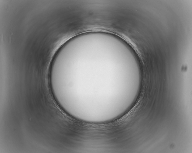 X0000096391269200801241108