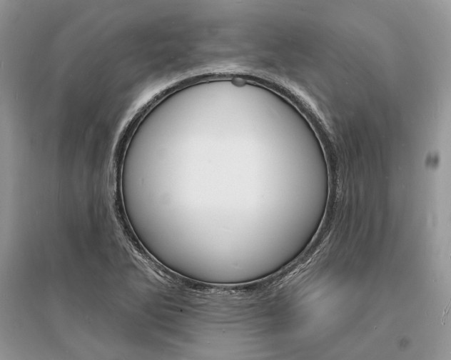 X0000096391270200801241108