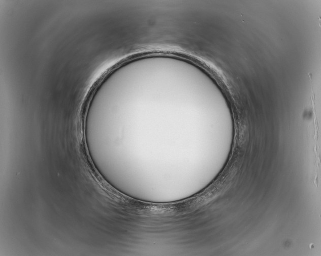 X0000096391271200801241108